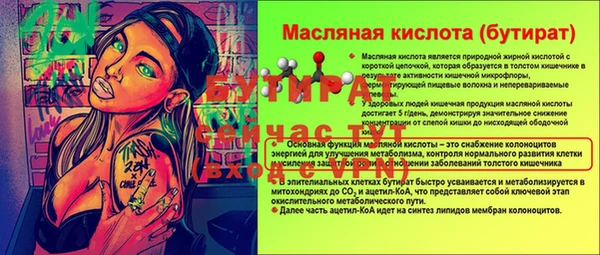 spice Богородск