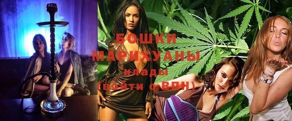 spice Богородск
