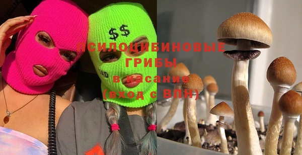 spice Богородск