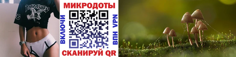 Галлюциногенные грибы Psilocybine cubensis  как найти   Богородицк 